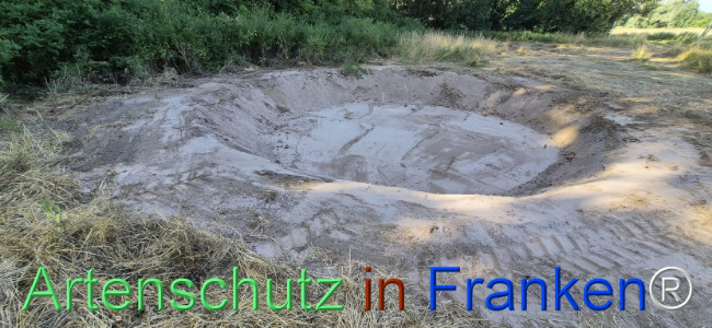 Bild zum Eintrag (1145459-160)