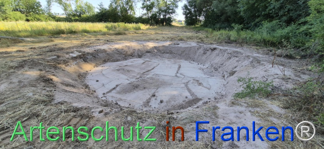 Bild zum Eintrag (1145460-160)