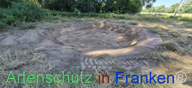 Bild zum Eintrag (1145462-160)