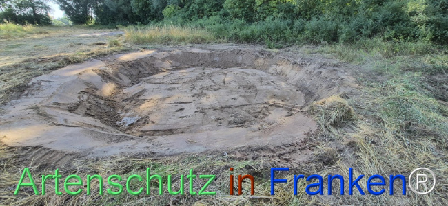 Bild zum Eintrag (1145463-160)