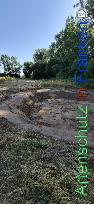 Bild zum Eintrag (1145465-160)
