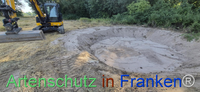 Bild zum Eintrag (1145467-160)