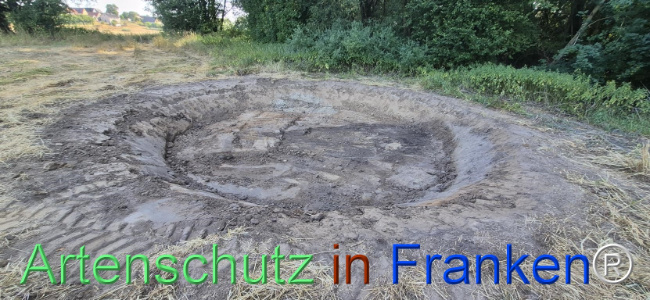 Bild zum Eintrag (1145468-160)