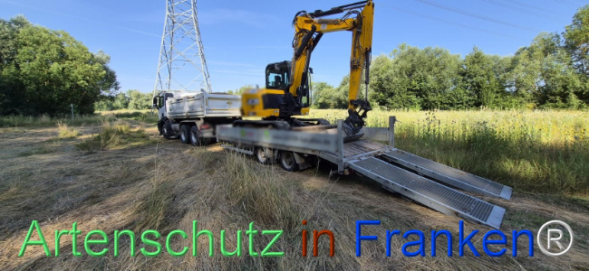 Bild zum Eintrag (1145470-160)
