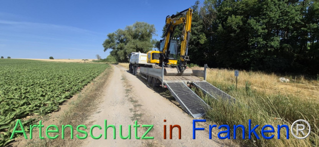 Bild zum Eintrag (1145480-160)