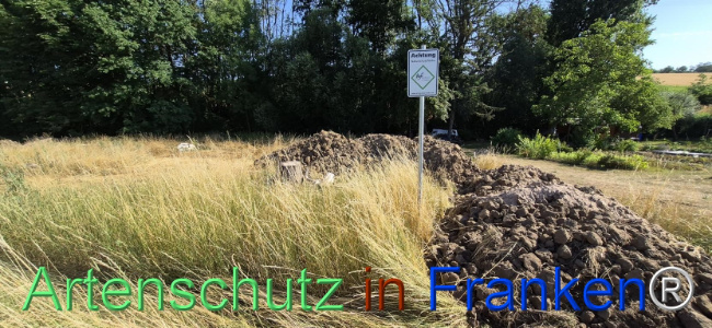 Bild zum Eintrag (1145482-160)