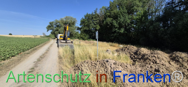 Bild zum Eintrag (1145483-160)