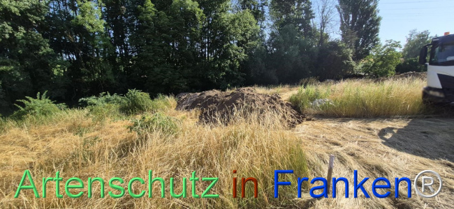 Bild zum Eintrag (1145484-160)