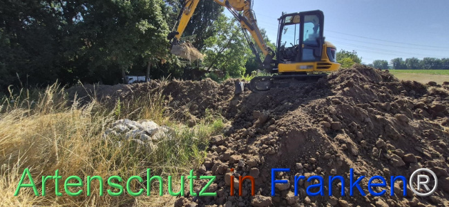 Bild zum Eintrag (1145486-160)
