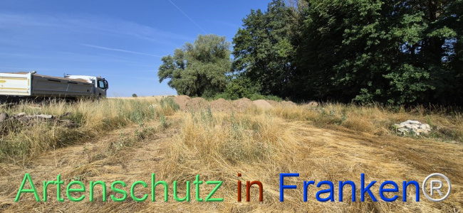 Bild zum Eintrag (1145487-160)