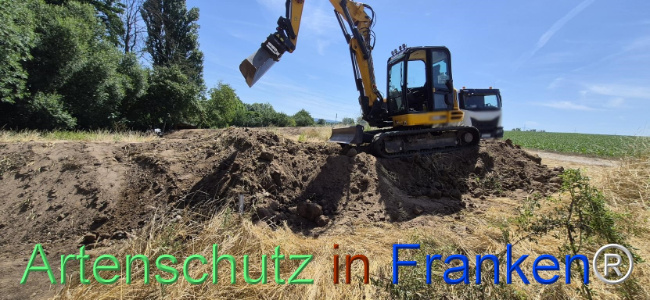 Bild zum Eintrag (1145488-160)