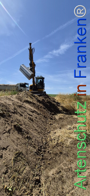 Bild zum Eintrag (1145489-160)