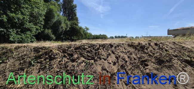 Bild zum Eintrag (1145491-160)