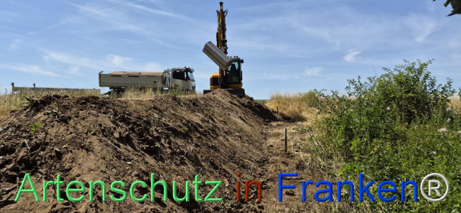 Bild zum Eintrag (1145493-160)