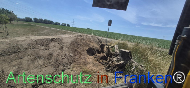 Bild zum Eintrag (1145496-160)