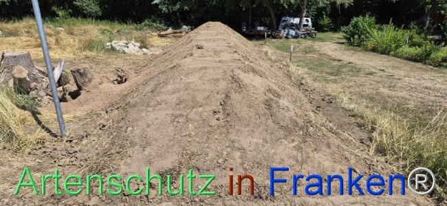 Bild zum Eintrag (1145502-160)