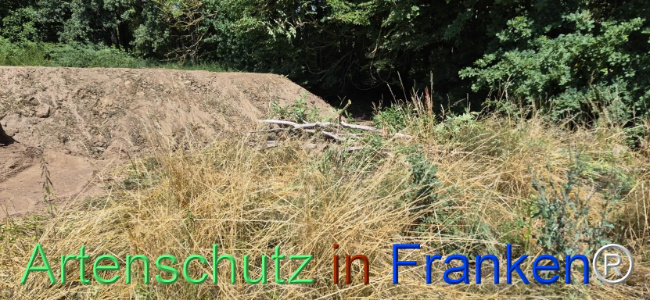 Bild zum Eintrag (1145503-160)