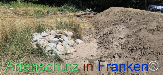Bild zum Eintrag (1145505-160)