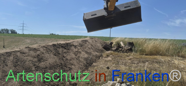 Bild zum Eintrag (1145507-160)
