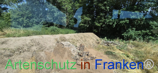 Bild zum Eintrag (1145508-160)