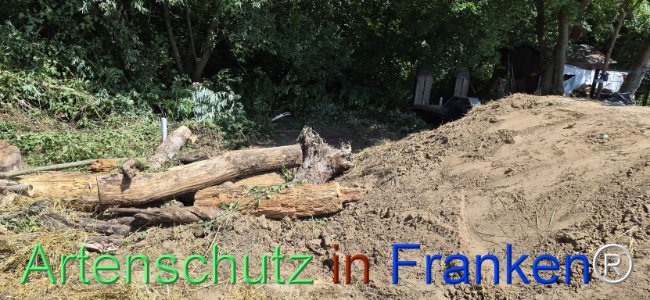 Bild zum Eintrag (1145514-160)
