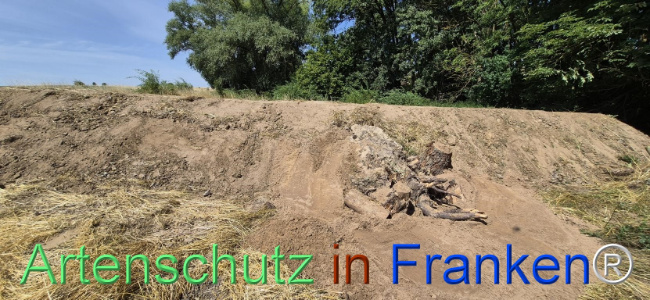 Bild zum Eintrag (1145515-160)