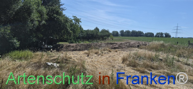 Bild zum Eintrag (1145521-160)