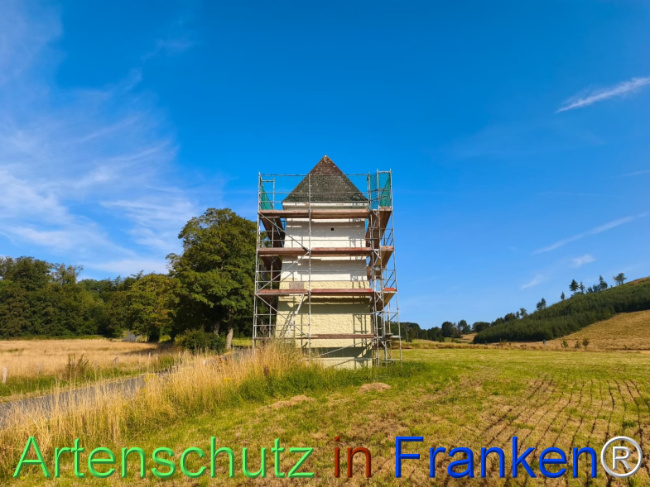 Bild zum Eintrag (1146095-160)