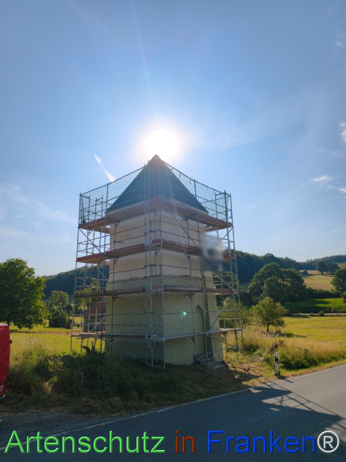 Bild zum Eintrag (1146100-160)