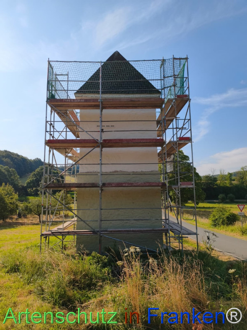 Bild zum Eintrag (1146101-160)