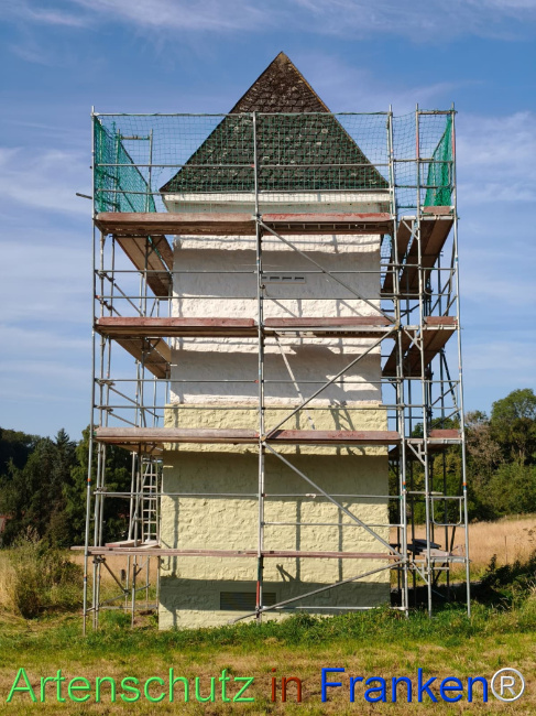 Bild zum Eintrag (1146104-160)