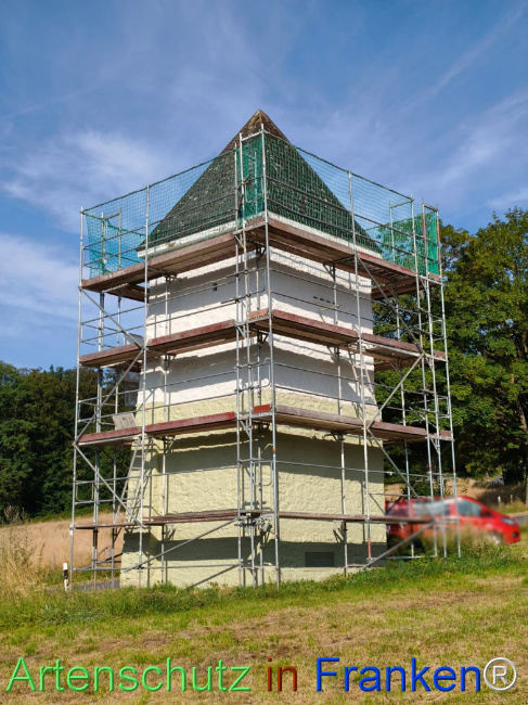 Bild zum Eintrag (1146105-160)
