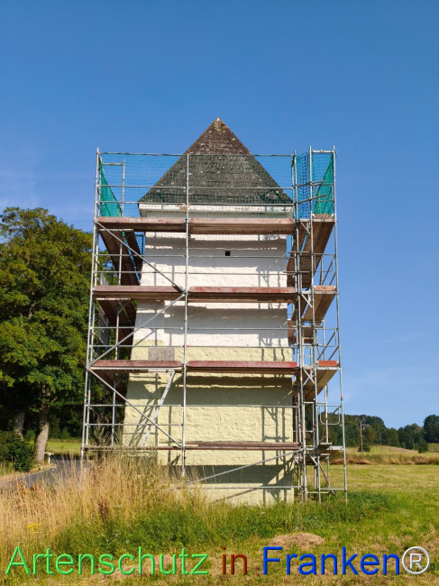 Bild zum Eintrag (1146106-160)