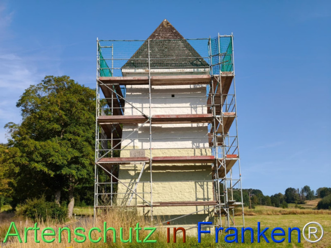 Bild zum Eintrag (1146107-160)