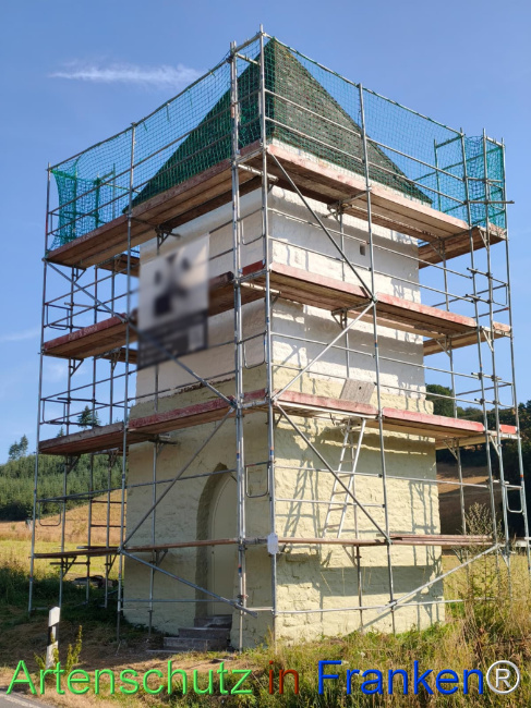 Bild zum Eintrag (1146108-160)