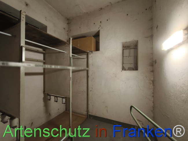Bild zum Eintrag (1146111-160)