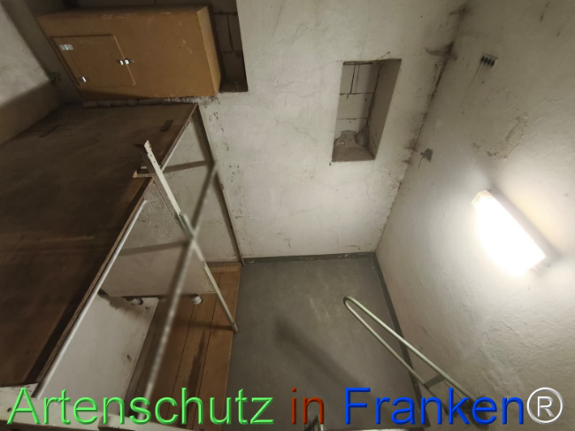 Bild zum Eintrag (1146113-160)