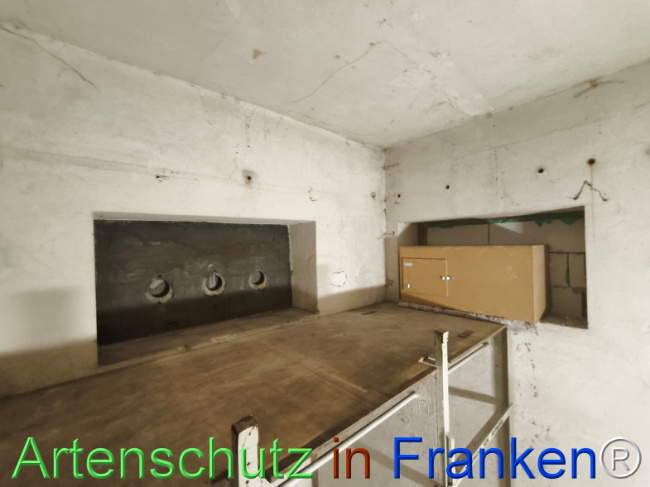 Bild zum Eintrag (1146114-160)