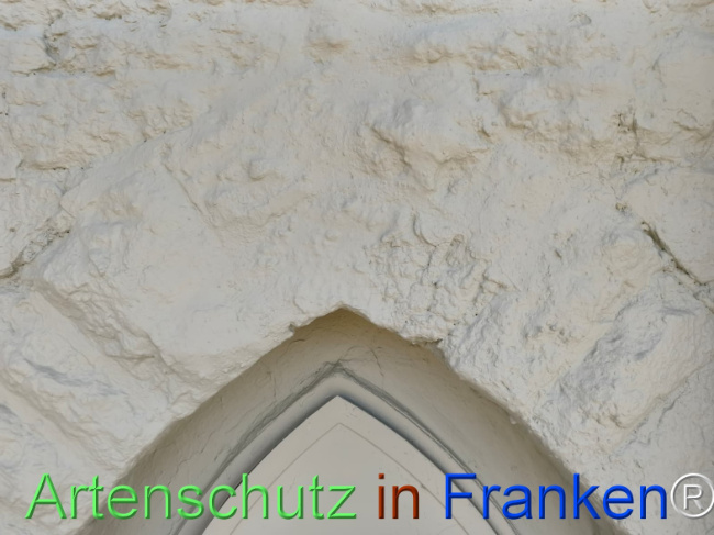 Bild zum Eintrag (1146116-160)