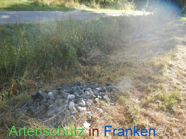 Bild zum Eintrag (1146221-160)