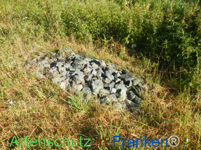 Bild zum Eintrag (1146230-160)