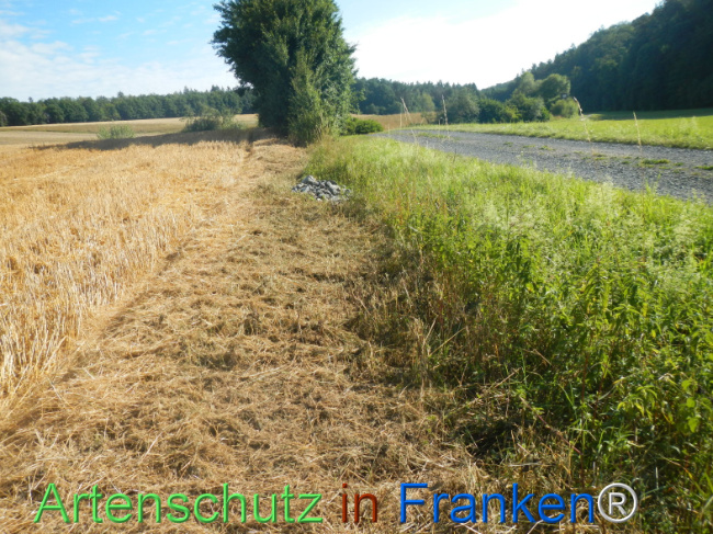Bild zum Eintrag (1146234-160)