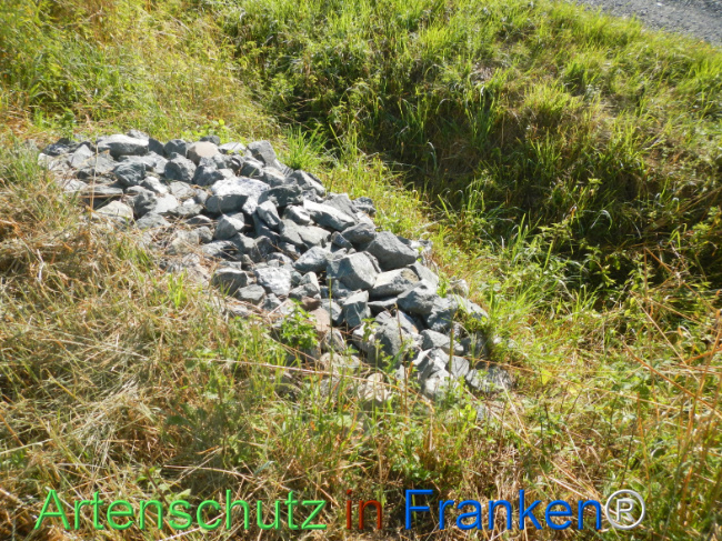 Bild zum Eintrag (1146239-160)