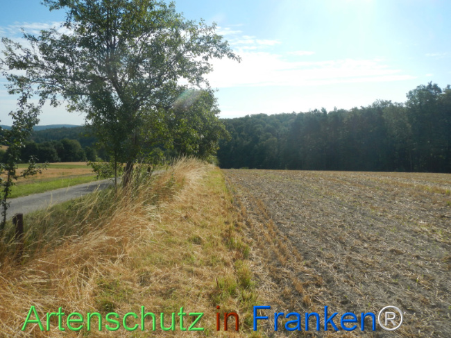 Bild zum Eintrag (1146243-160)