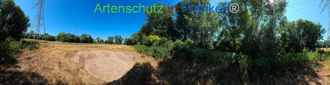 Bild zum Eintrag (1146263-160)