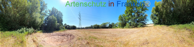 Bild zum Eintrag (1146268-160)