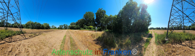 Bild zum Eintrag (1146269-160)
