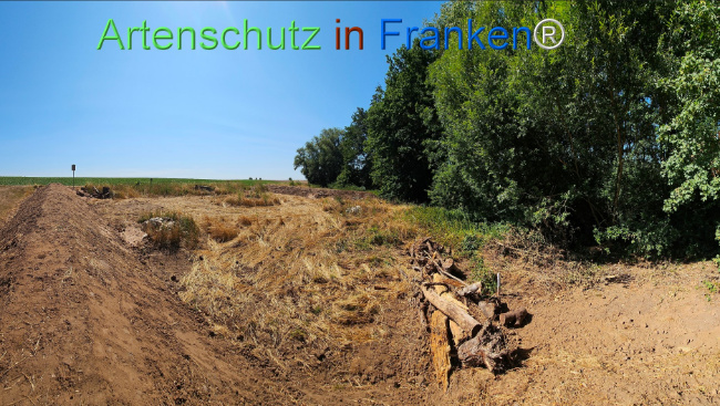Bild zum Eintrag (1146336-160)