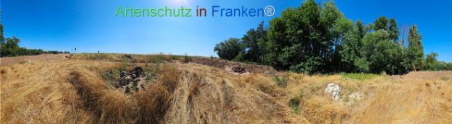 Bild zum Eintrag (1146338-160)