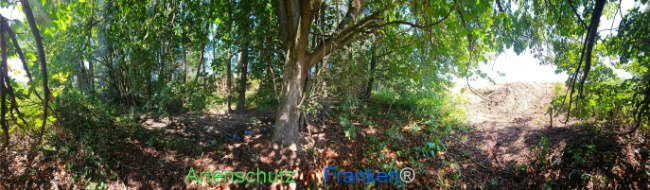 Bild zum Eintrag (1146339-160)